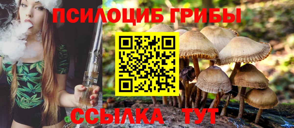 Псилоцибиновые грибы Magic Shrooms  закладка  Батайск  Галлюциногенные грибы GOLDEN TEACHER  Вход с VPN 